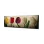 Wallity PC147 Lienzo Decorativo Multicolor 30 x 80 cm